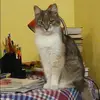 Отзыв от Серафима Бородина